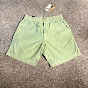 Polo by Ralph Lauren Mint Green Flat Front Chino Shorts